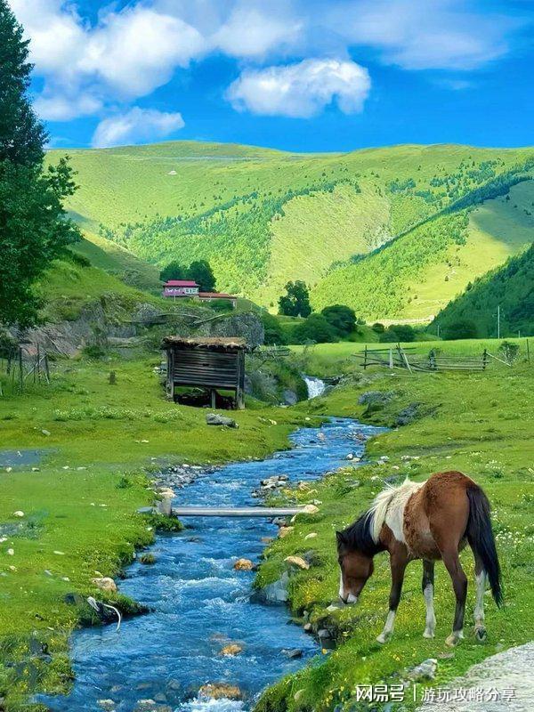 玩点什么 成都旅游保姆级出行手册！pg电子免费模拟器去成都四天可以