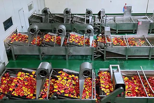 ：香其食品演绎“酱人匠心”pg电子中国网站笃行30载(图1)