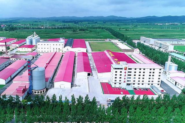 ：香其食品演绎“酱人匠心”pg电子中国网站笃行30载(图3)